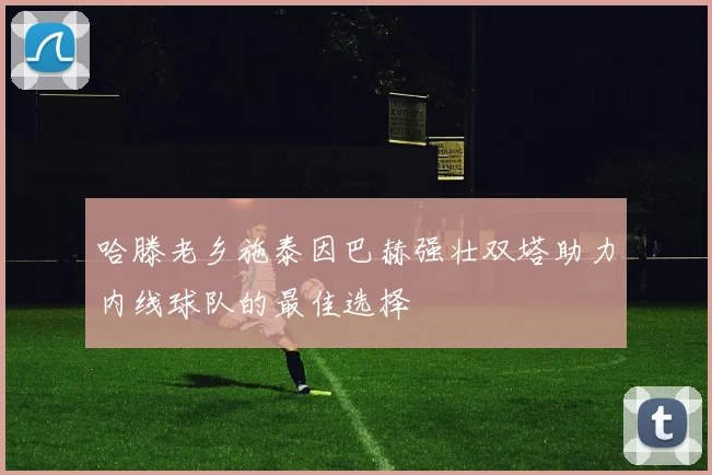 哈滕老乡施泰因巴赫强壮双塔助力内线球队的最佳选择